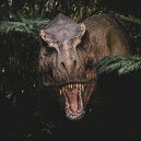 Povești de adormit cu dinozauri: aventuri preistorice pentru copii