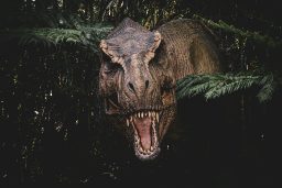 Povești de adormit cu dinozauri: aventuri preistorice pentru copii