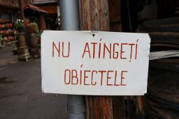 Povești de adormit cu anotimpuri: aventuri pentru fiecare sezon